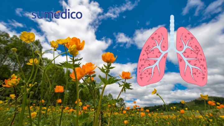 ¿Cuáles son las enfermedades más comunes en primavera de las que te debes cuidar?