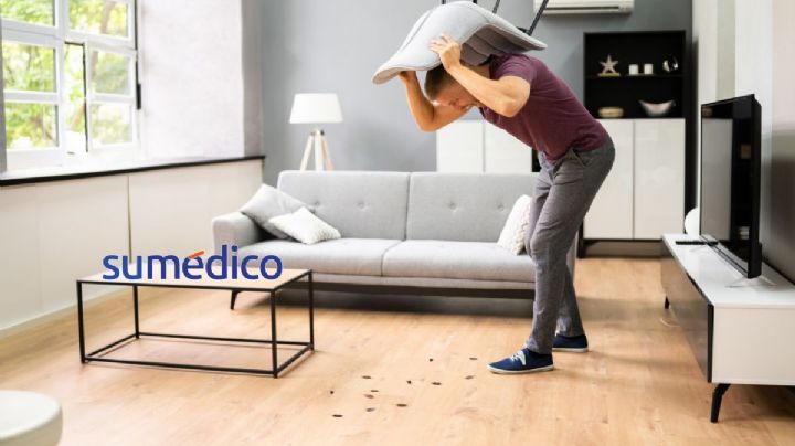 5 razones por las que hay cucarachas en tu casa