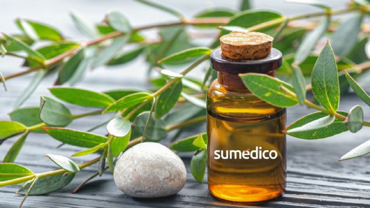 5 mejores aceites esenciales para ahuyentar cucarachas del hogar