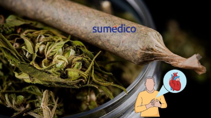 ¿El consumo de marihuana daña el corazón? Esto dice la ciencia