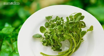 Este superalimento tiene más vitamina C que la naranja y retrasa el envejecimiento
