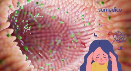 ¿Probióticos para la mente? Cepas que mejoran tu salud mental desde el intestino