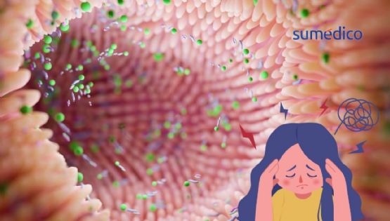 ¿Probióticos para la mente? Cepas que mejoran tu salud mental desde el intestino