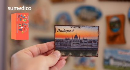 El mito de los imanes en el refrigerador que NO debes creer