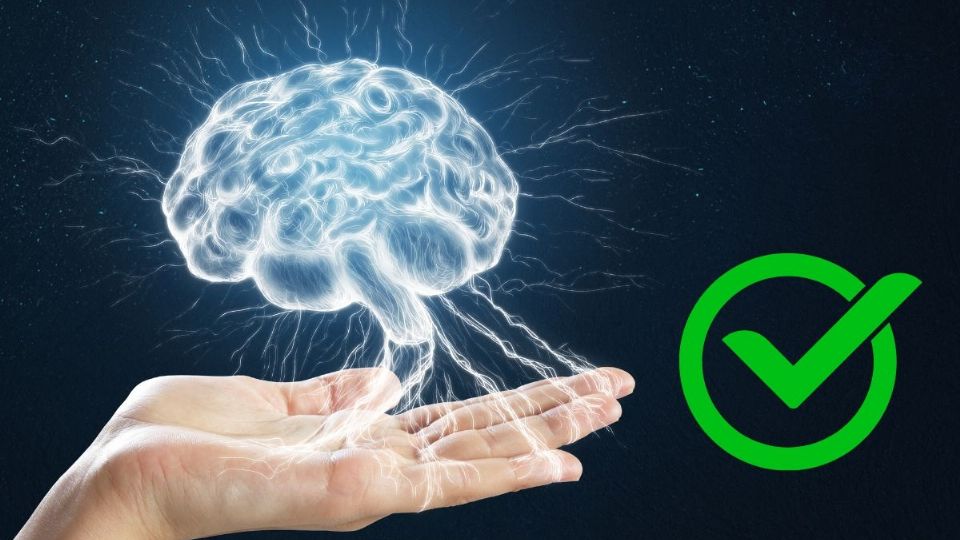 Existe una molécula clave para nuestro bienestar mental y cognitivo: el BDNF