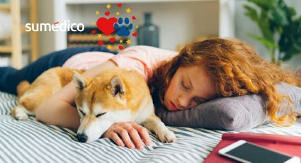 ¿Qué significa dormir con tu mascota, según la psicología?