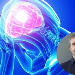 Cuando el cortisol enferma: el rol de la inflamación sistémica y cómo frenarlo