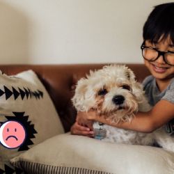 El secreto para que los niños desarrollen inteligencia emocional, según Harvard