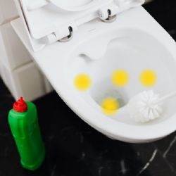¿Cómo quitar las manchas amarillas de la taza de baño?