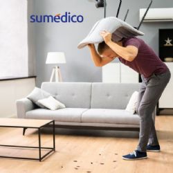 ¿Cómo saber si hay un nido de cucarachas dentro de tu casa?