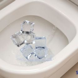 ¿Para qué sirve meter hielos en el inodoro? Este truco puede cambiarte la vida