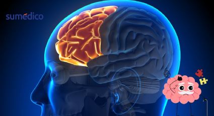 ¿Cuáles son los hábitos que hacen que tu cerebro se deteriore y envejezca más rápido?