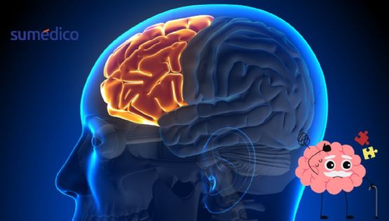 ¿Cuáles son los hábitos que hacen que tu cerebro se deteriore y envejezca más rápido?