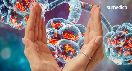 El inofensivo hábito que te salva de infecciones