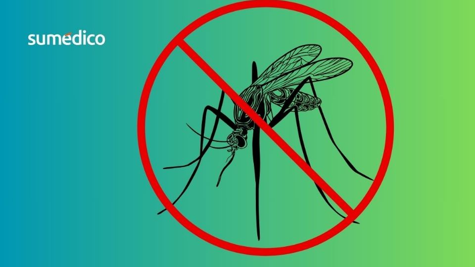 El mosquito Aedes aegypti es el principal riesgo en temporada de lluvias