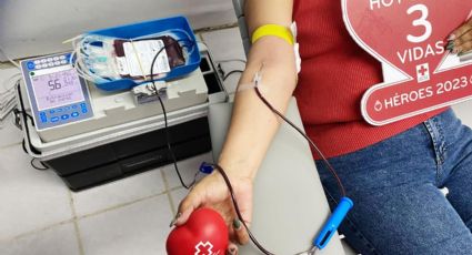 'Con solo una donación de sangre se pueden salvar hasta 3 vidas'