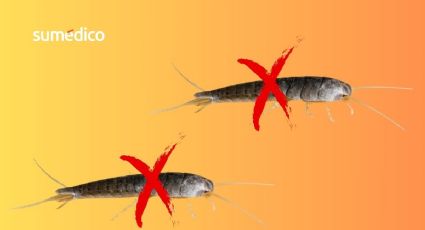 Así debes limpiar tu casa si quieres evitar pececillos de plata