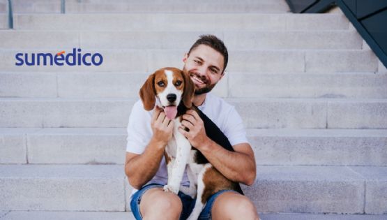 Los beneficios que tiene acariciar a un perro, según la psicología