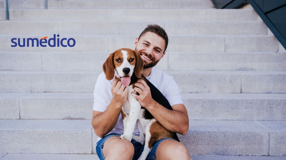 Conoce los beneficios de acariciar a un perro, según la psicología
