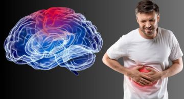 Hígado graso: ¿Aumenta el riesgo de demencia?