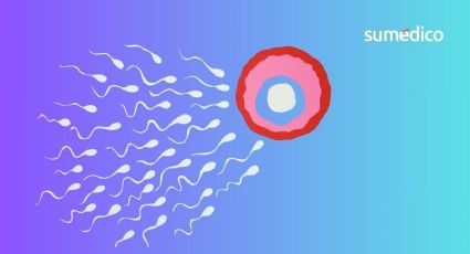 Tratamientos de fertilidad para parejas LGBTQ+ en México