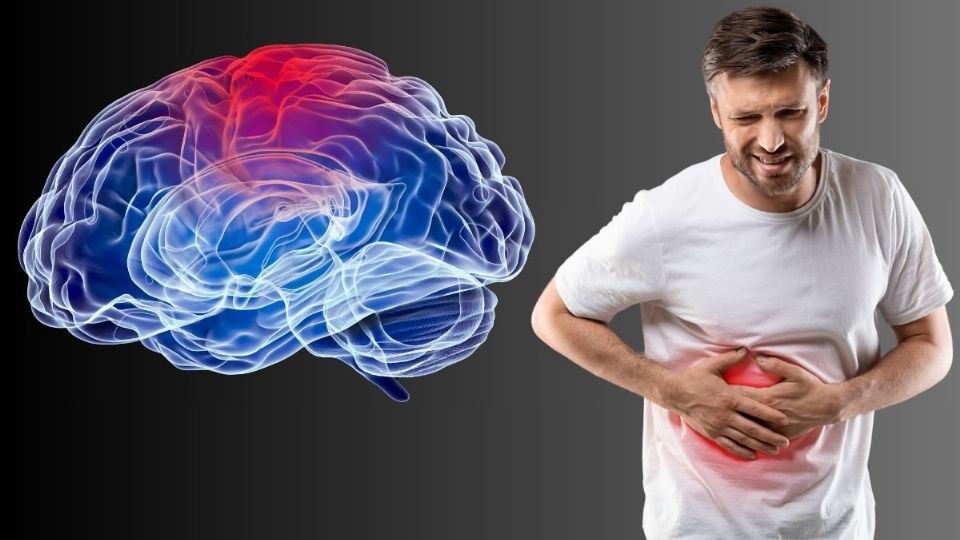 Parece que no tienen nada que ver pero el hígado graso afecta a tu cerebro.