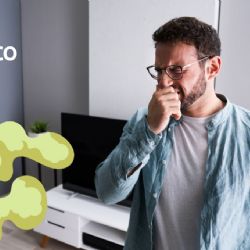 Olor a humedad en tu casa: Así puedes eliminarlo