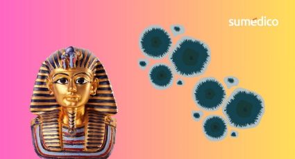 El hongo del antiguo Egipto que podría ayudar a combatir el cáncer
