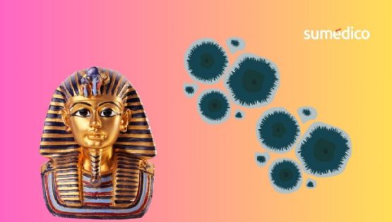 El hongo del antiguo Egipto que podría ayudar a combatir el cáncer