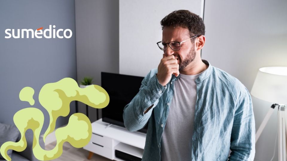 Es importante conocer las técnicas para eliminar el olor a humedad de tu casa