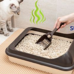 ¿Tienes gatos en casa? Así puedes neutralizar el olor de su arenero