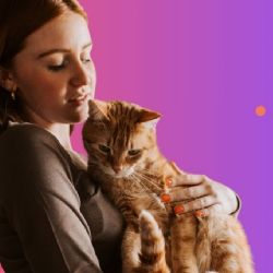¿Qué significa que te gusten más los gatos que los perros, según la psicología?