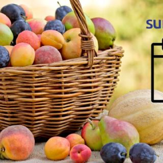 5 frutas de temporada de julio y sus beneficios a la salud
