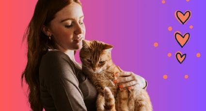 ¿Qué significa que te gusten más los gatos que los perros, según la psicología?
