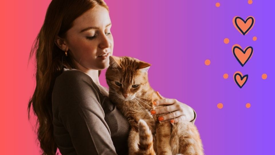 Amar a los gatos dice mucho de tu salud emocional.
