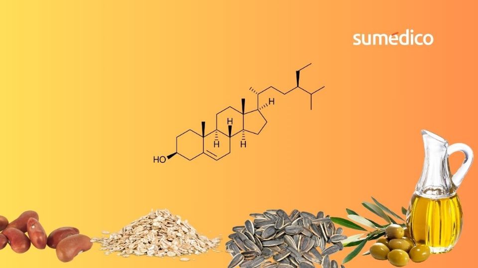 Una serie de compuestos vegetales demostraron mejorar los niveles de colesterol LDL en la sangre