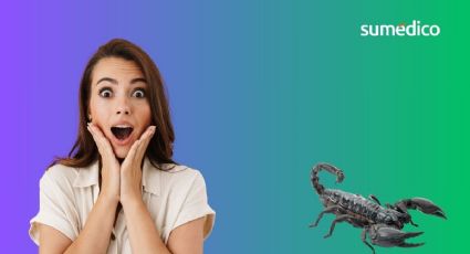 Así debes limpiar tu casa si quieres evitar los alacranes