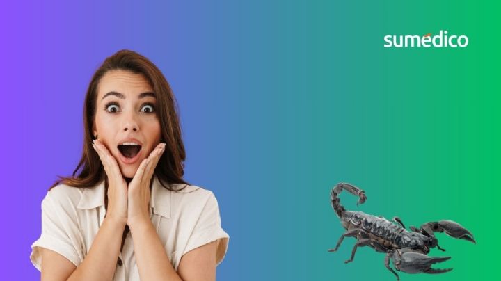 Así debes limpiar tu casa si quieres evitar los alacranes