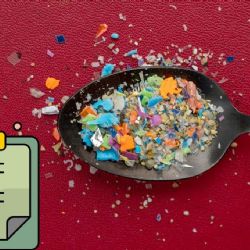 Científicos descubren microplásticos en semen y ovarios ¿cuál es el riesgo?