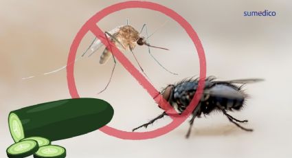 El truco con pepino para alejar moscas y mosquitos en esta canícula