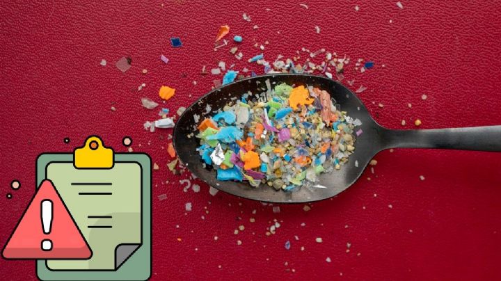 Científicos descubren microplásticos en semen y ovarios ¿cuál es el riesgo?