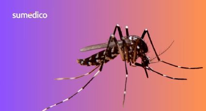 Mosquitos: ¿Por qué pican más a unas personas que otras?