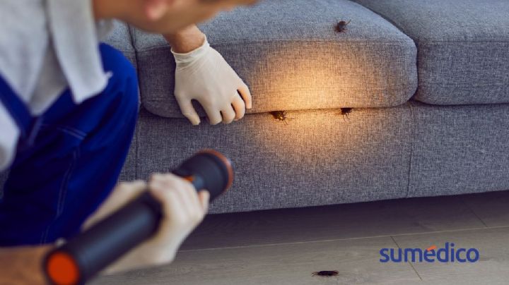 ¿Cuáles son los lugares de la casa donde se esconden las cucarachas y cómo limpiarlos?