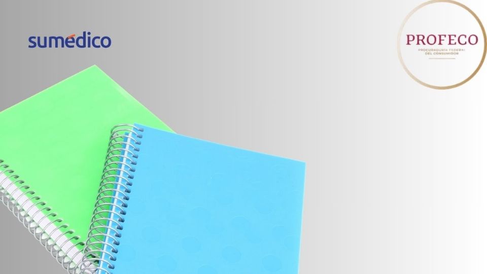Las libretas profesionales son más comunes en secundaria y preparatoria