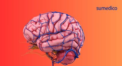 3 hábitos que NO pueden faltar para proteger tu cerebro