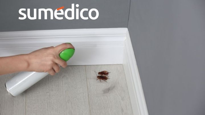 ¿Cómo hacer el aseo de tu casa para eliminar cucarachas e insectos de manera efectiva?