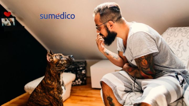 Qué significa hablarles a los perros como si fueran humanos, según la psicología