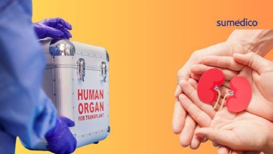 ¿Qué es una red de acopio de órganos y por qué es importante? Esto sabemos