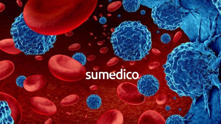 Septiembre hematológico: ¿cuáles son las enfermedades de la sangre más comunes? Síntomas y tratamientos con biotecnología