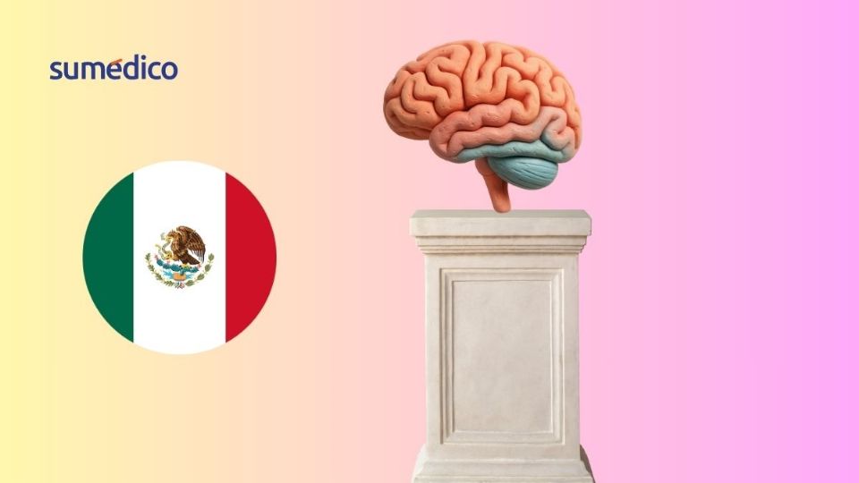 El museo del cerebro pertenece a la Universidad Politécnica de Pachuca